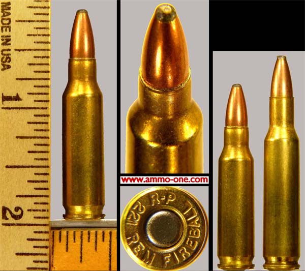 .221 remington. fireball by rem., vmax, 1 cartridge not a box.