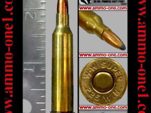 .225 winchester by win., 55gr. jsp, one cartridge not a box.