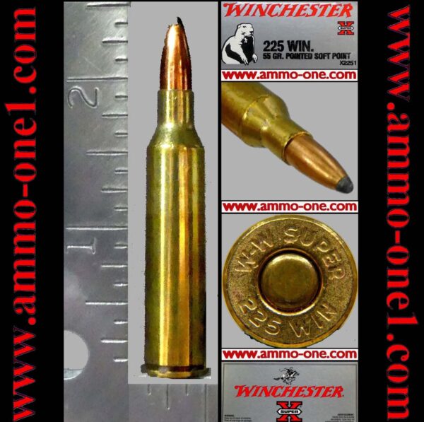 .225 winchester by win., 55gr. jsp, one cartridge not a box.