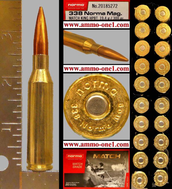 .338 norma mag. by norma, 300 gr. jhp, one cartridge not a box .338 norma mag. by norma, 300 gr. jhp, one cartridge not a box