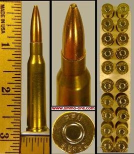 6.5x50mm Japanese, New, Bright, Mint, 139rain FMJ, One Cartridge, not a Box!