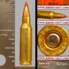.221 remington fireball by hsm, with r p h/s, vmax,one cartridge not a box.