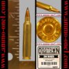 .204 ruger, "new"*, by nosler co., "dogtown" h/s, one cartridge, not a box.