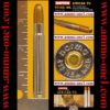 .416 remington magnum by norma,"new!", "mint!", "norma" h/s, "nickel case", jsp, one cartridge not a box.