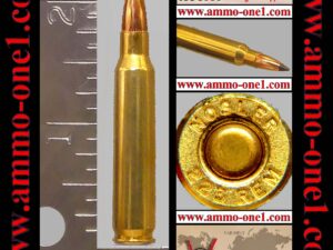 (a005) .223 remington by "nosler" h/s, new, varmageddon, 55gr. ballistic tip, one cartridge not a box. lis