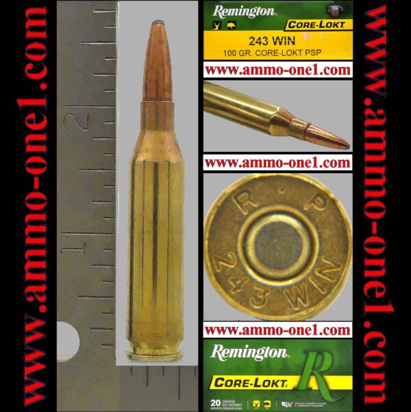 (item .003) .243 winchester by winchester, "mint!" new production, 95g. "xp" ballistic tip, one cartridge not a box (copy)
